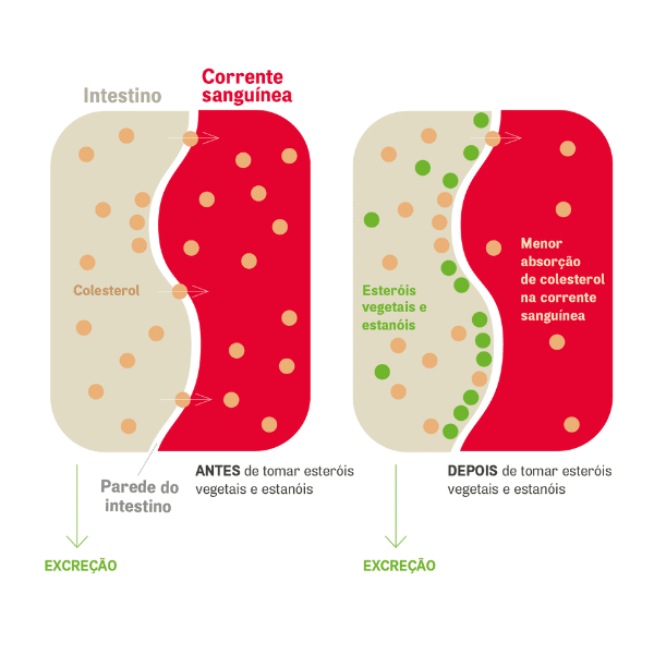 Arterin Colesterol Comprimidos