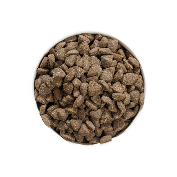 Ownat Grain Free Prime Cão Cordeiro