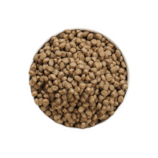 Ownat Just Grain Free Gato Esterilizado com Peixe