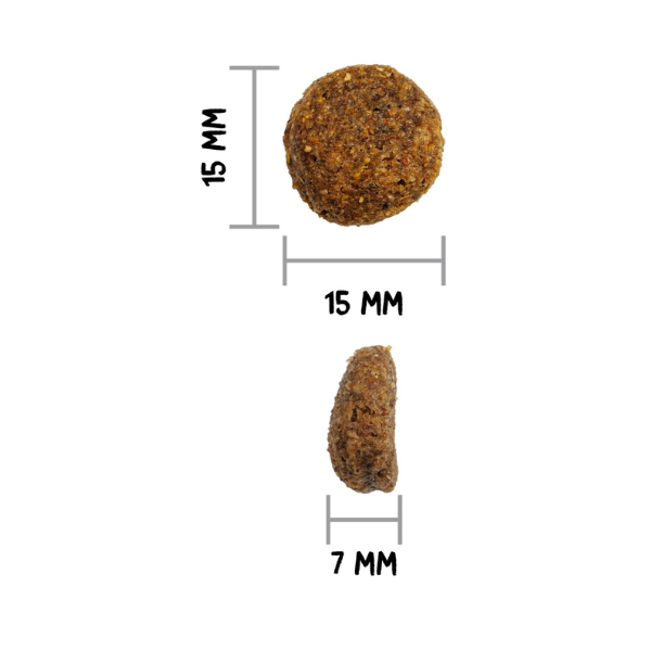 Ração Cão Ownat Classic Monoproteica com Salmão
