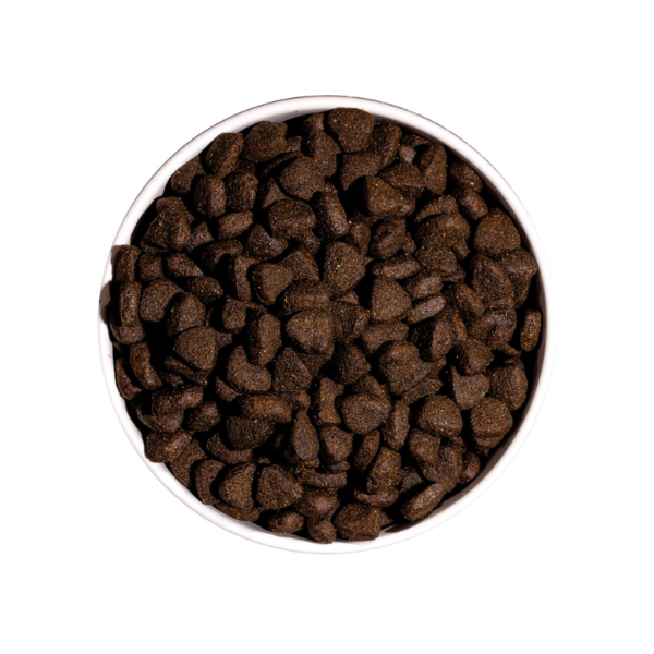 Ração Cão Ownat Just Grain Free Salmão