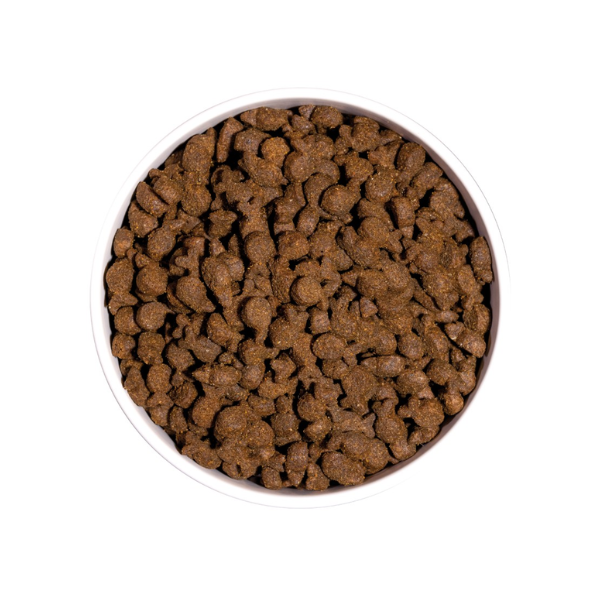 Ração Cão Ownat Just Grain Free Truta